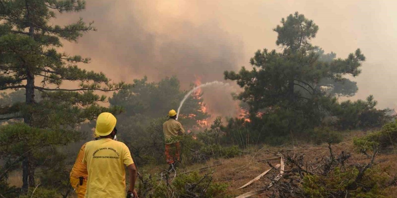 Ormanlık Alanlara Girişler Yasaklandı