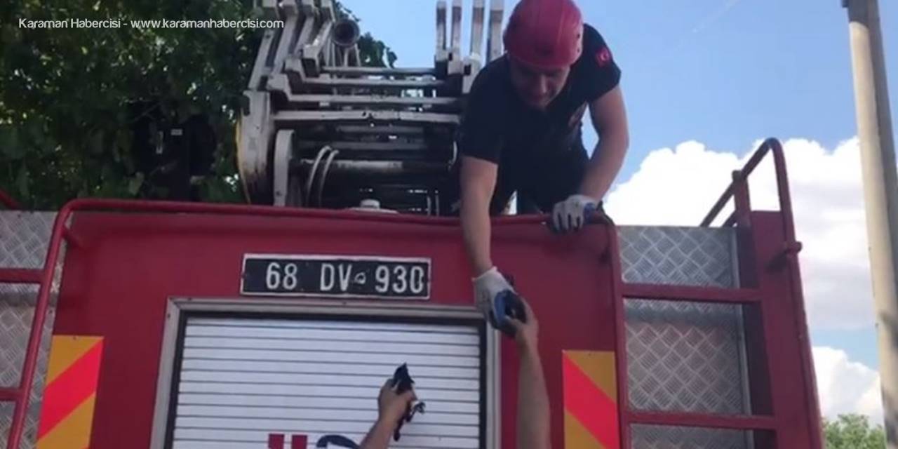 Aksaray İtfaiyesinden Kuş Operasyonu