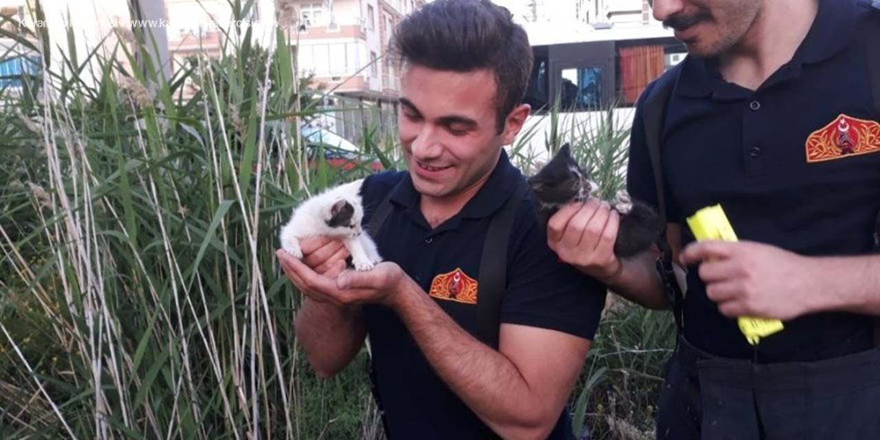 Aksaray'da Yavru Kedilerin Yardımına İtfaiye Yetişti