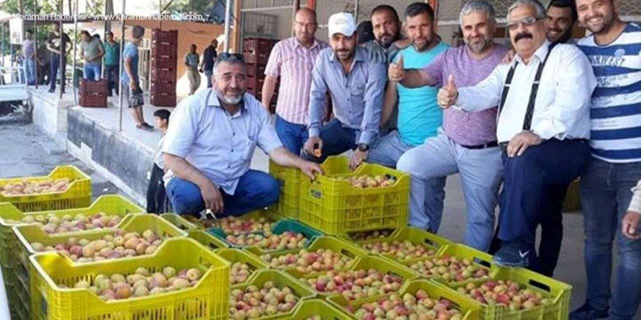 Mutlu Kayısı Üreticisinin Yüzü gülüyor