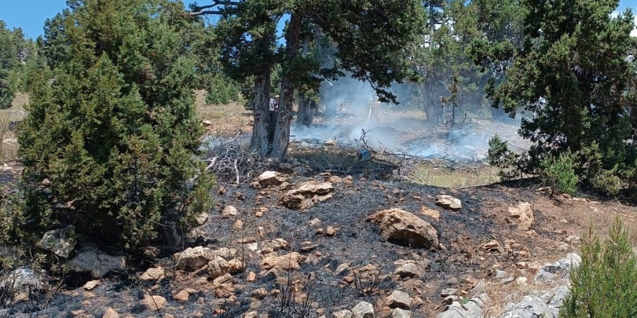 Mersin’de Orman Yangını, Büyümeden Söndürüldü