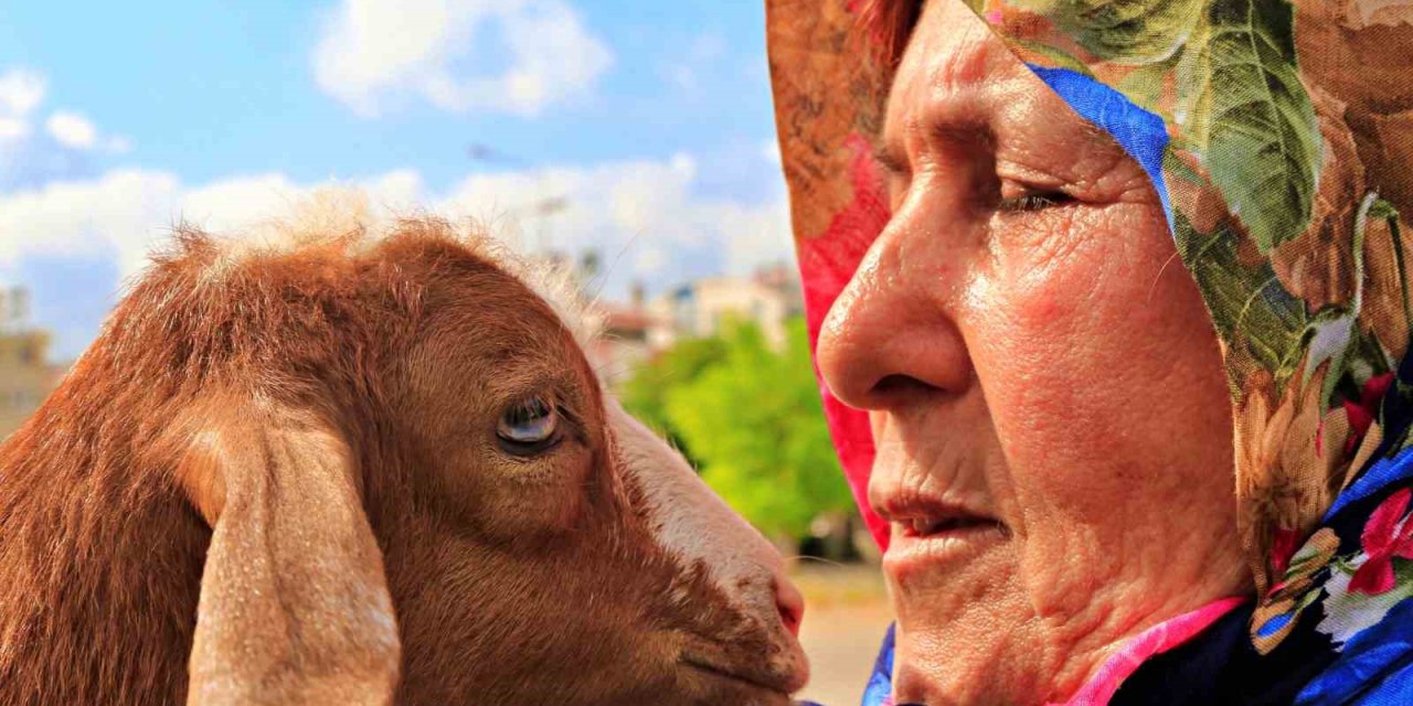 Antalya’nın Modern Çobanları