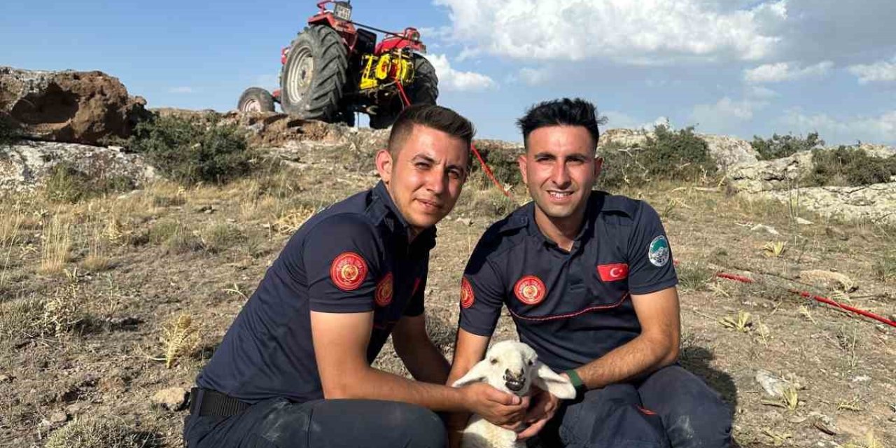 Kayalıklara Sıkışan Kuzu 2,5 Saatlik Çalışma İle Kurtarıldı