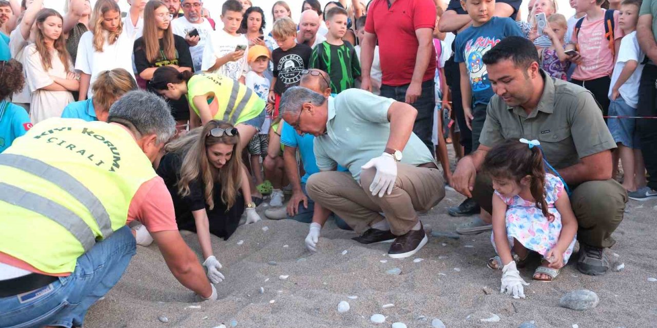 Kemer’de Son 30 Yılın Yavrulu Caretta Caretta Rekoru Bekleniyor