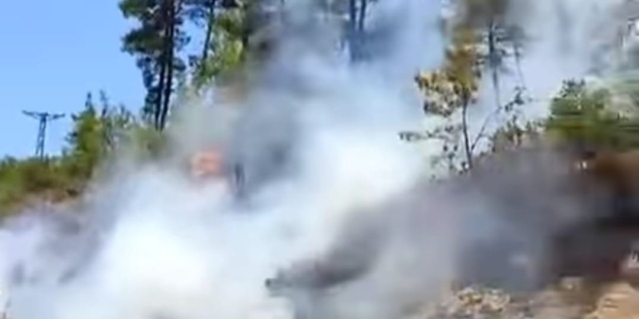 Gazipaşa’da Ormanlık Alanda Çıkan Yangın Büyümeden Söndürüldü