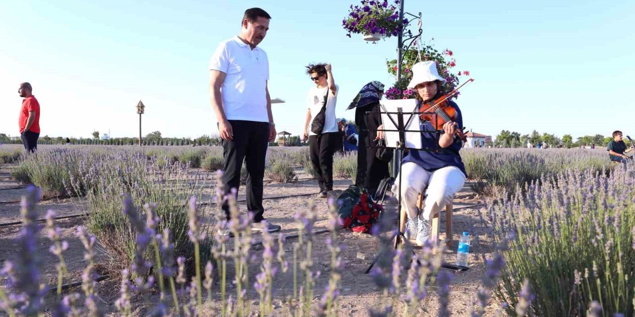 Karatay Lavanta Günleri Başladı