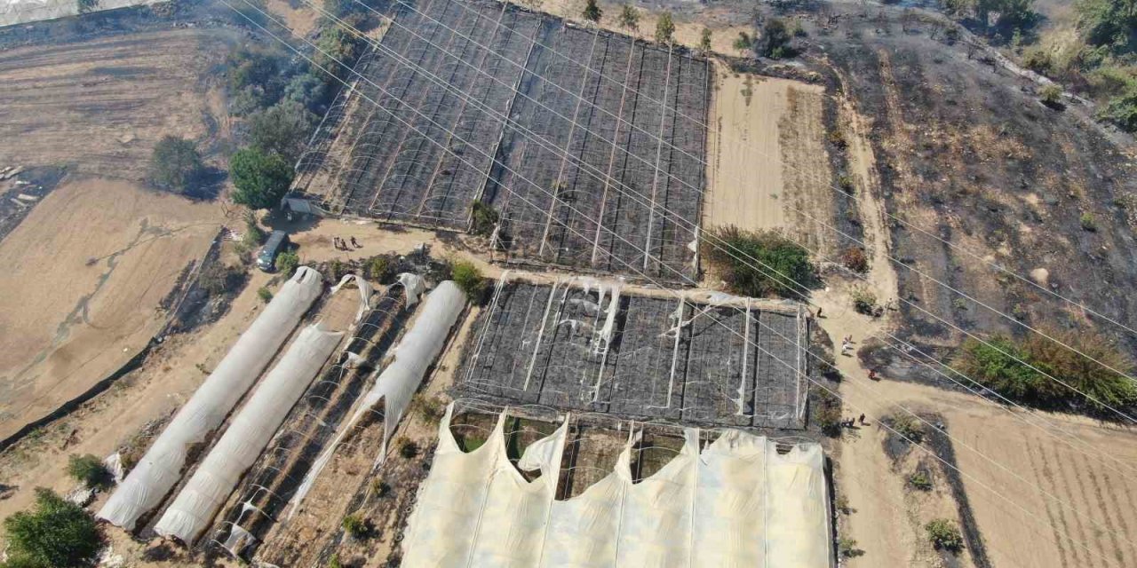 Antalya’daki Yangın 5 Saatlik Çalışma Sonucu Kontrol Altına Alındı