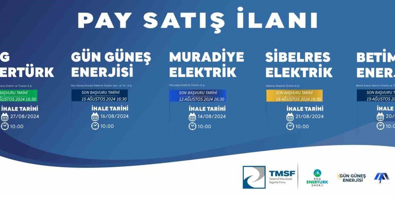Yenilenebilir Enerjide Dev Satış: Tmsf Enerji Şirketlerini İhaleye Çıkardı