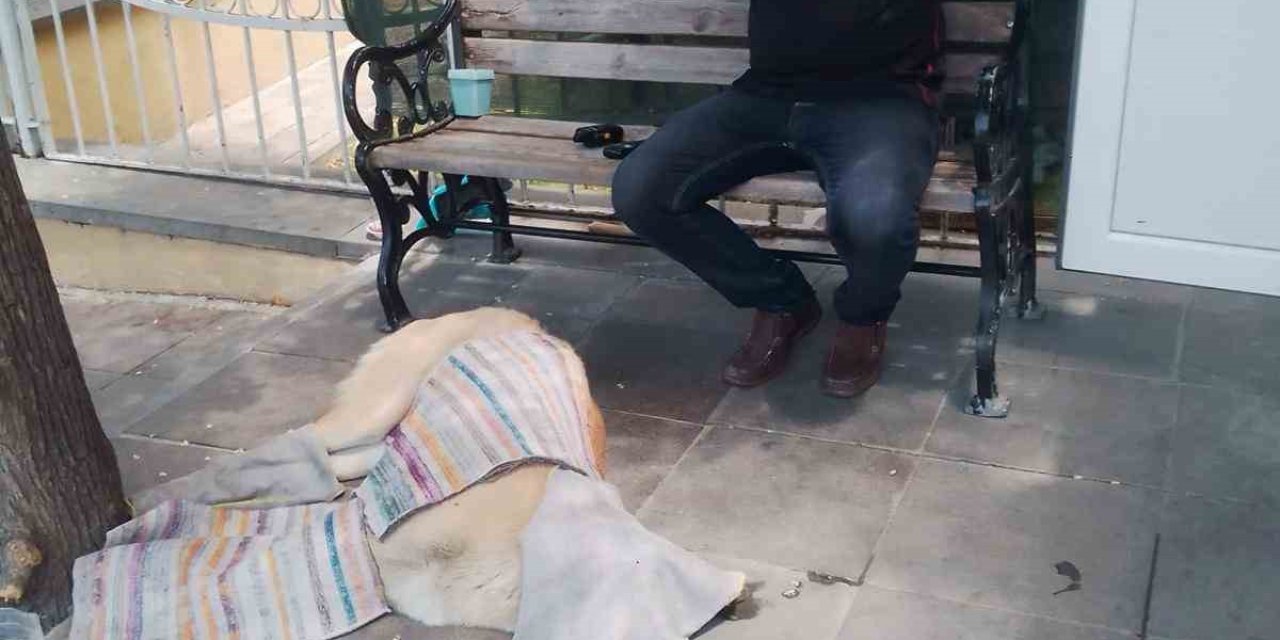 Taksi Durağı Çalışanının Takdir Edilecek Merhameti