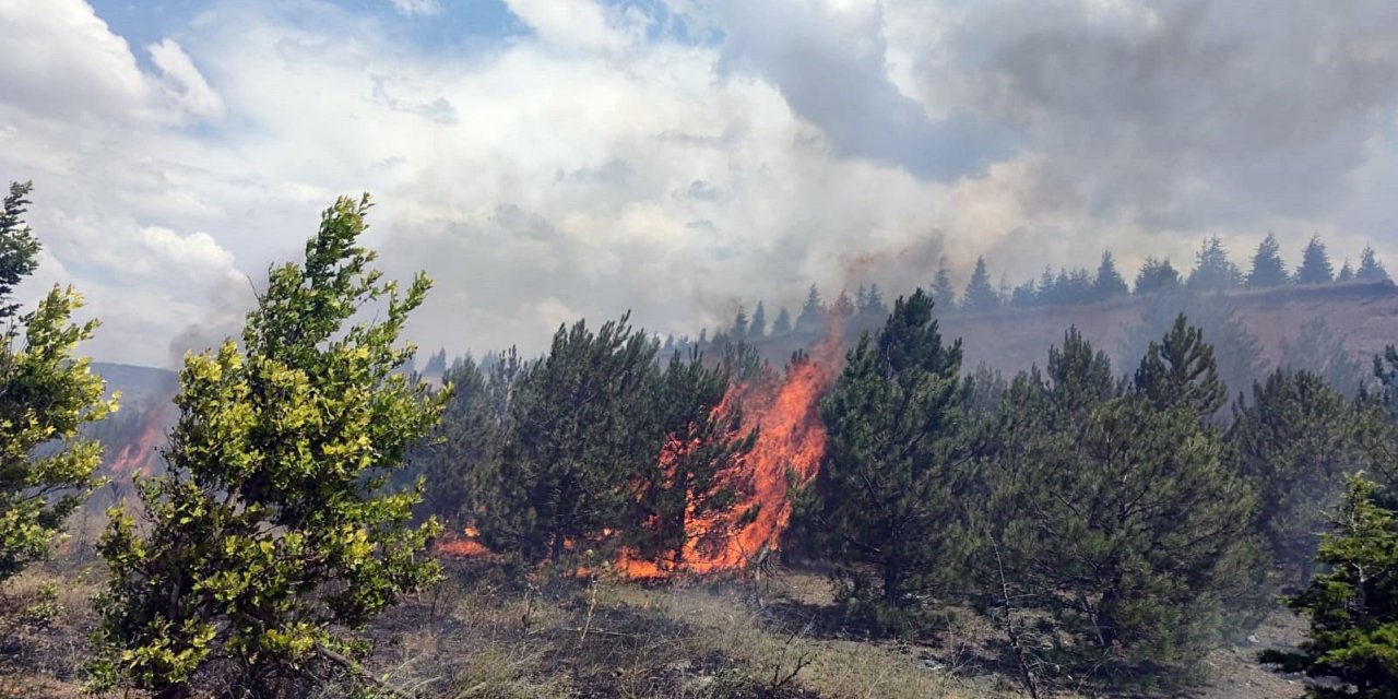 Ağaçlandırma Sahasındaki Yangın Büyümeden Söndürüldü