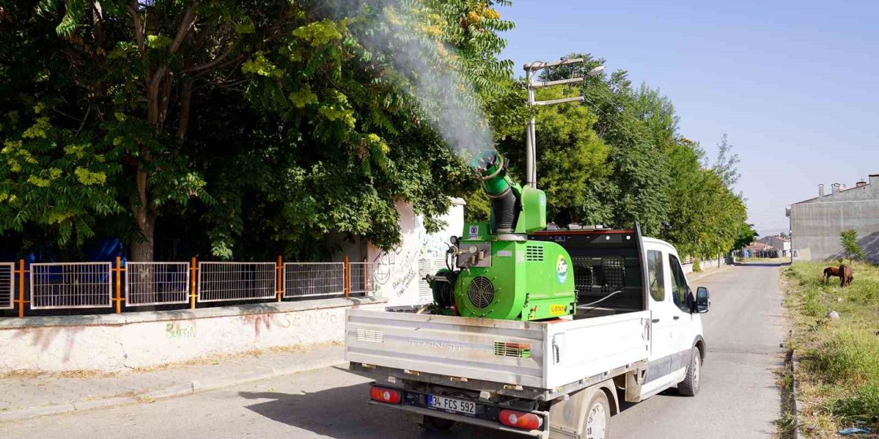 Tepebaşı İlçe Merkezinde Ve Kırsalda Haşere İle Mücadele