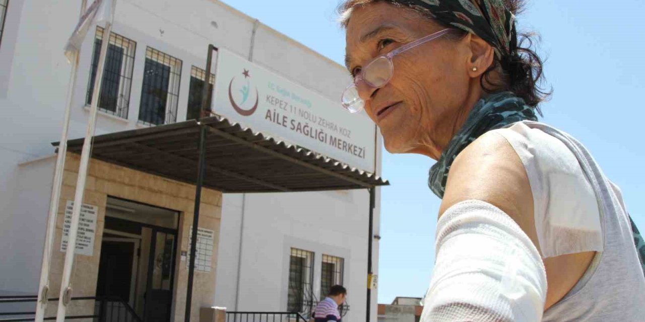 Besledikleri Kedinin Saldırısına Uğrayan 2 Kadın Hastanelik Oldu