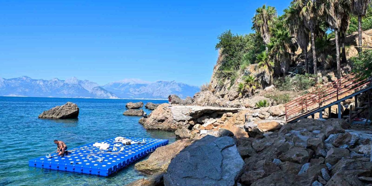 Muratpaşa Belediyesi, Bambus’u Halka Açmak İçin Çalışıyor