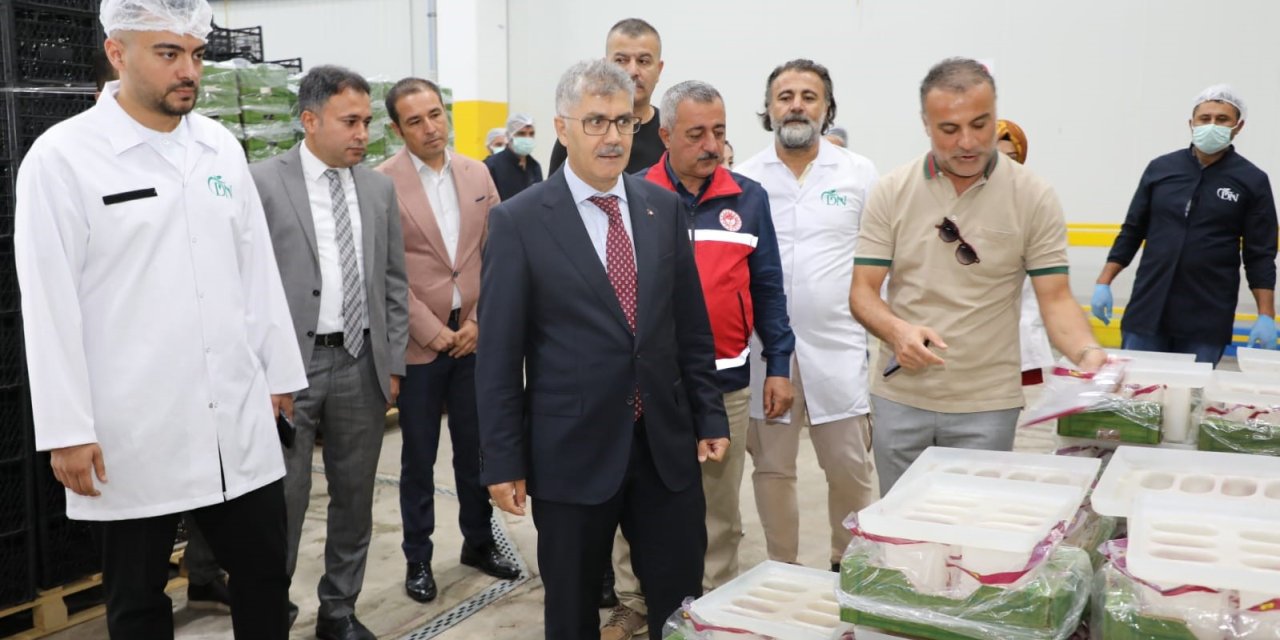 Niğde’de Üretilen Kirazlar Avrupa Ve Uzak Doğu Ülkelerine İhraç Ediliyor