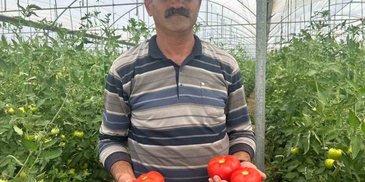 Yaş Sebze Ve Meyve Üreticileri Birliği Başkanı Kılıç: “ürünün Yüzde 45’i Vatandaşın Eline Ulaşamadan İsraf Oluyor”