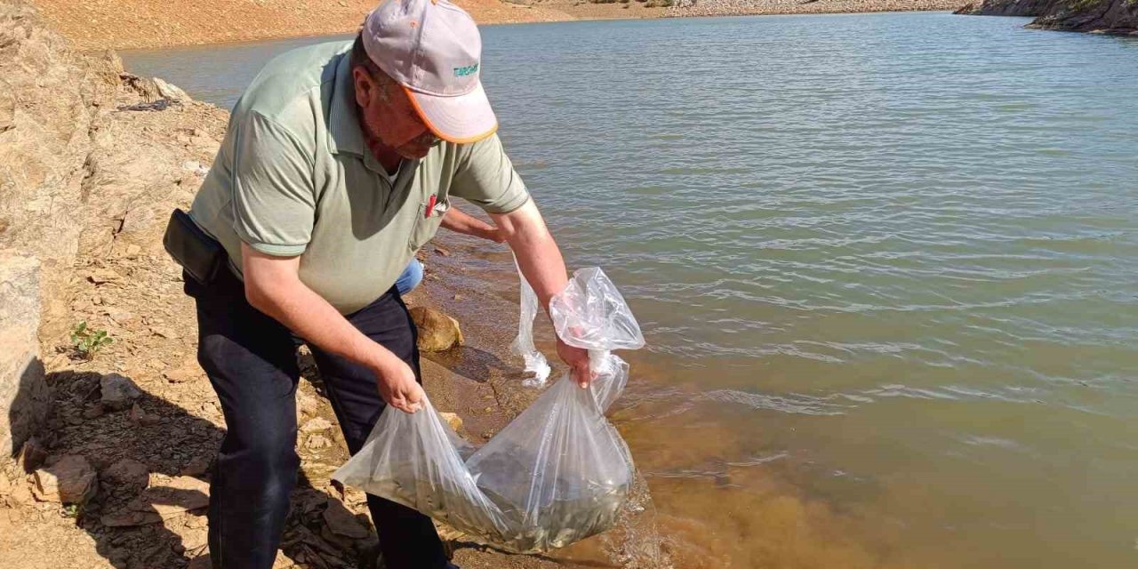 Konya’nın İlçelerindeki Göl Ve Göletlere Balık Bırakıldı