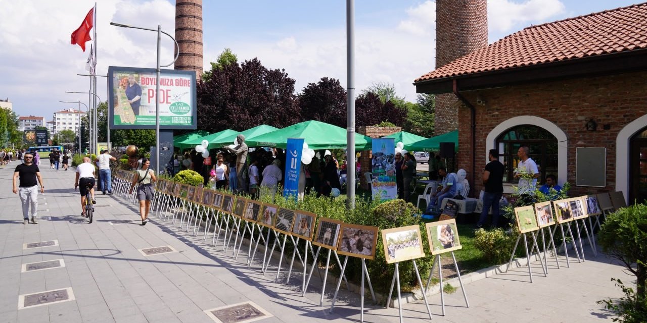 Tepebaşı’nda "satın Alma Sahiplen" Şenliği