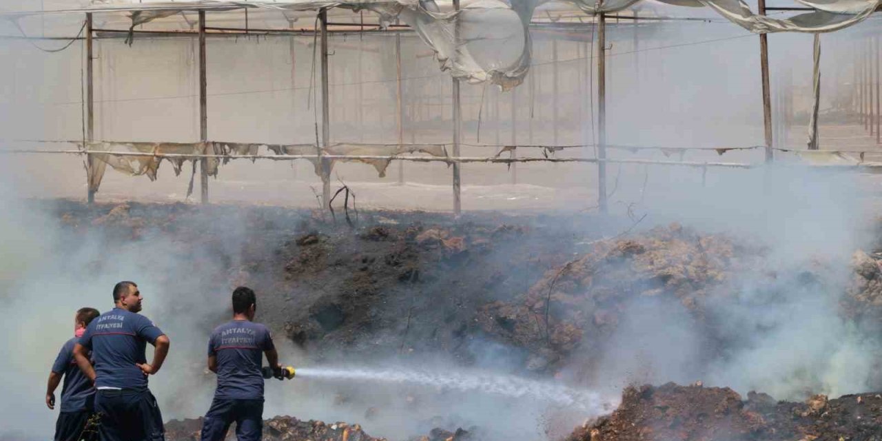 Otluk Alanda Başlayan Yangın Seralara Sıçradı