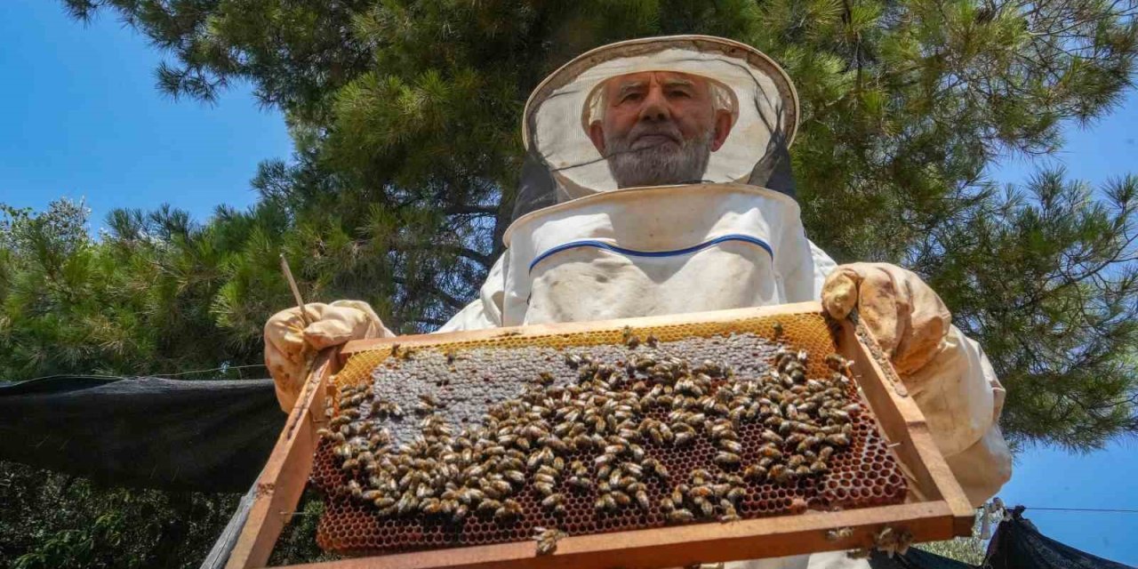Oğlunun Ölümünün Ardından Dedesinden Kalma Arıcılık Mesleğiyle Hayata Tutundu