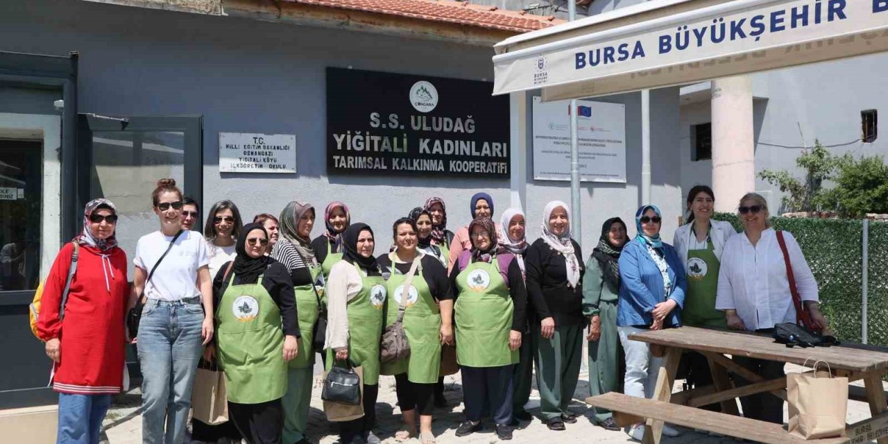 ’yukarı Sakarya Havzası’nda Arazi Tahribatını Dengeleme Projesi’ Devam Ediyor