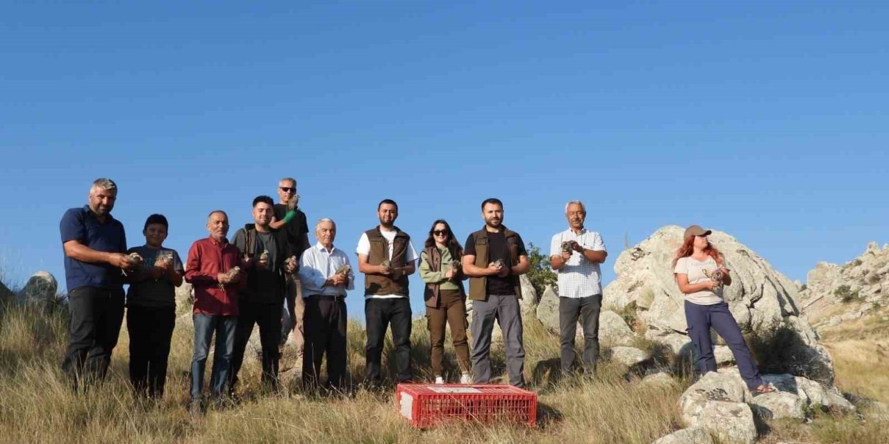 Sivrihisar’da 600 Adet Kınalı Kekliğin Doğaya Salımı Gerçekleştirildi