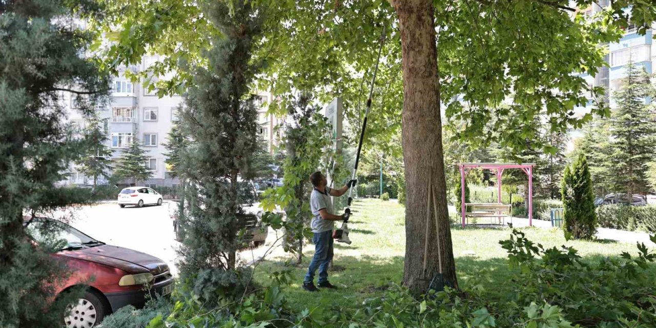 Talas’ta Park Ve Bahçelere Yaz Bakımı
