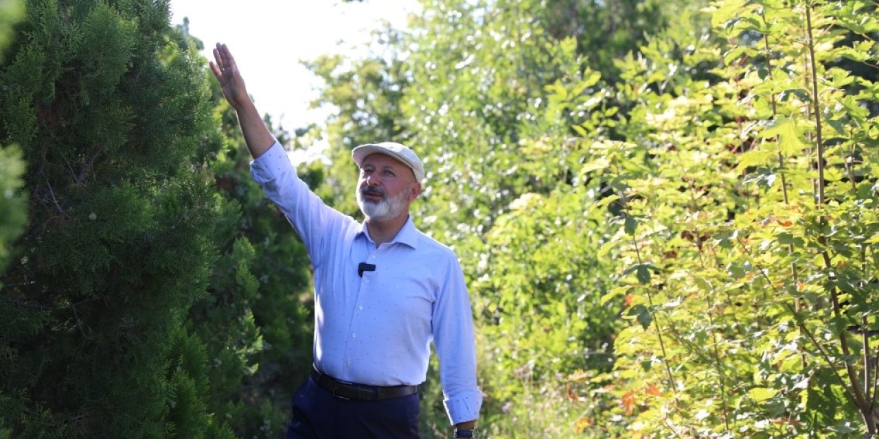 Başkan Çolakbayrakdar: "daha Yeşil Bir Kayseri İçin Çalışıyoruz"