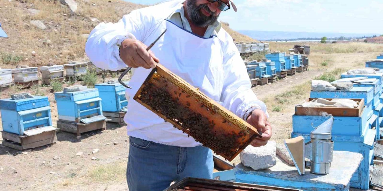 Yükselen Hava Sıcaklıkları Bal Üretiminde Verimi Düşürdü