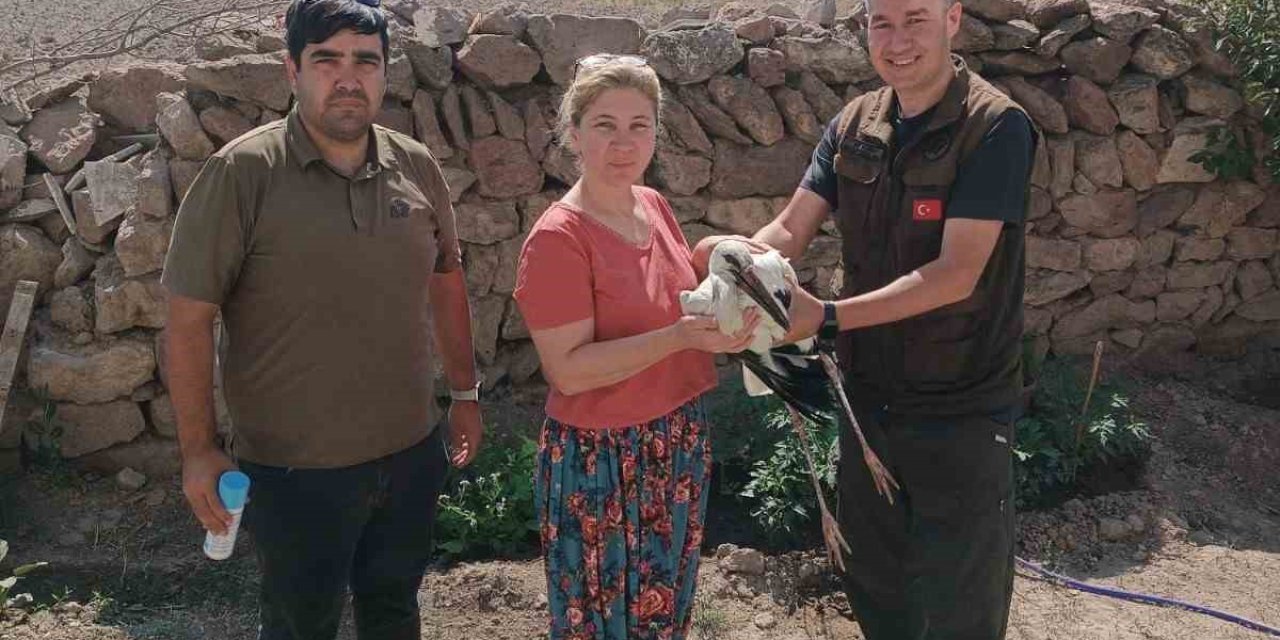 Yaralı Leylek Bakıma Alındı
