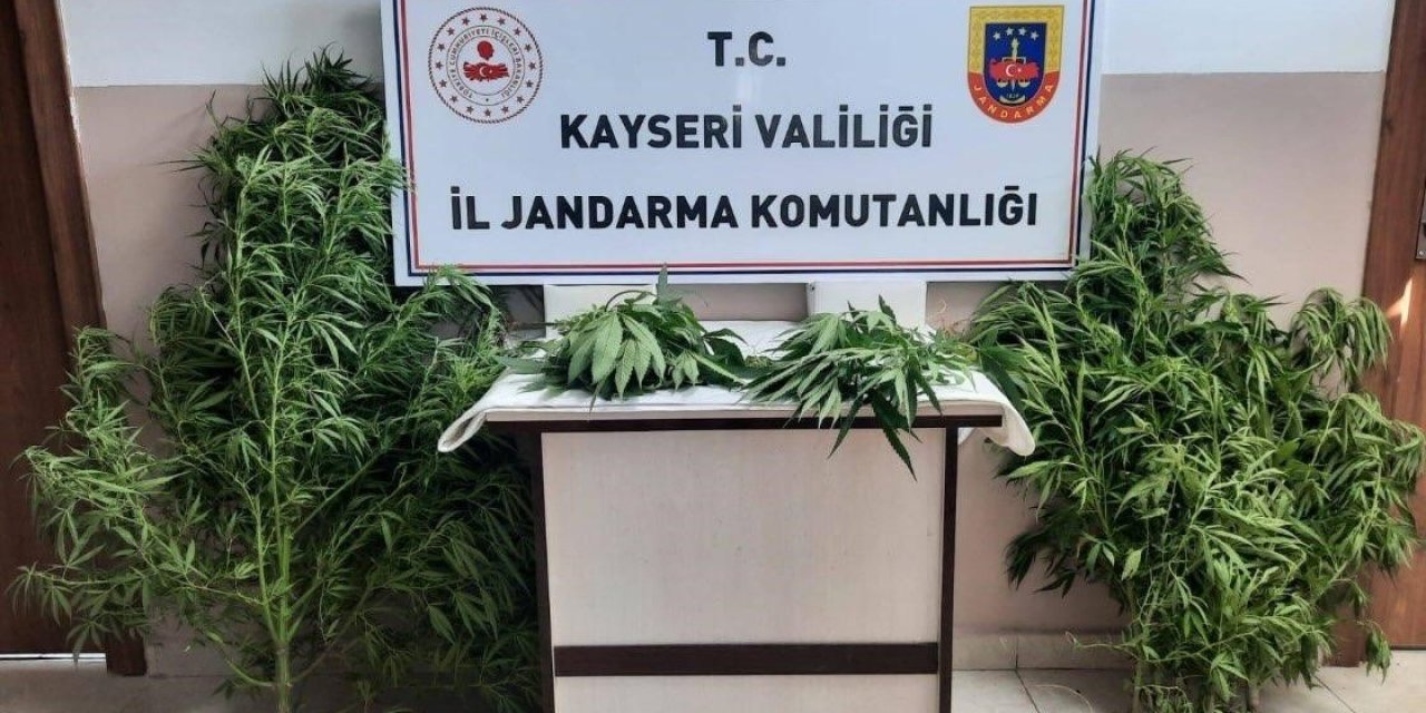 Jandarma Kayseri’de Uyuşturucuya Geçit Vermiyor