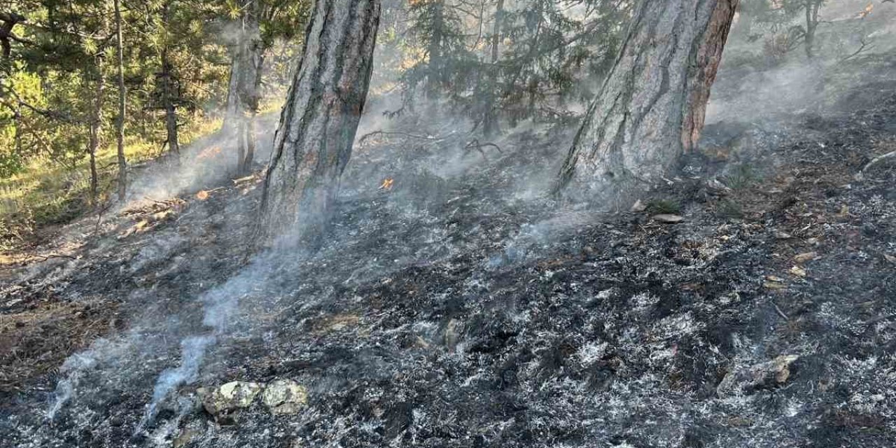 Ormanda Yıldırım Düşmesi Sonucu Çıkan Yangın Söndürüldü