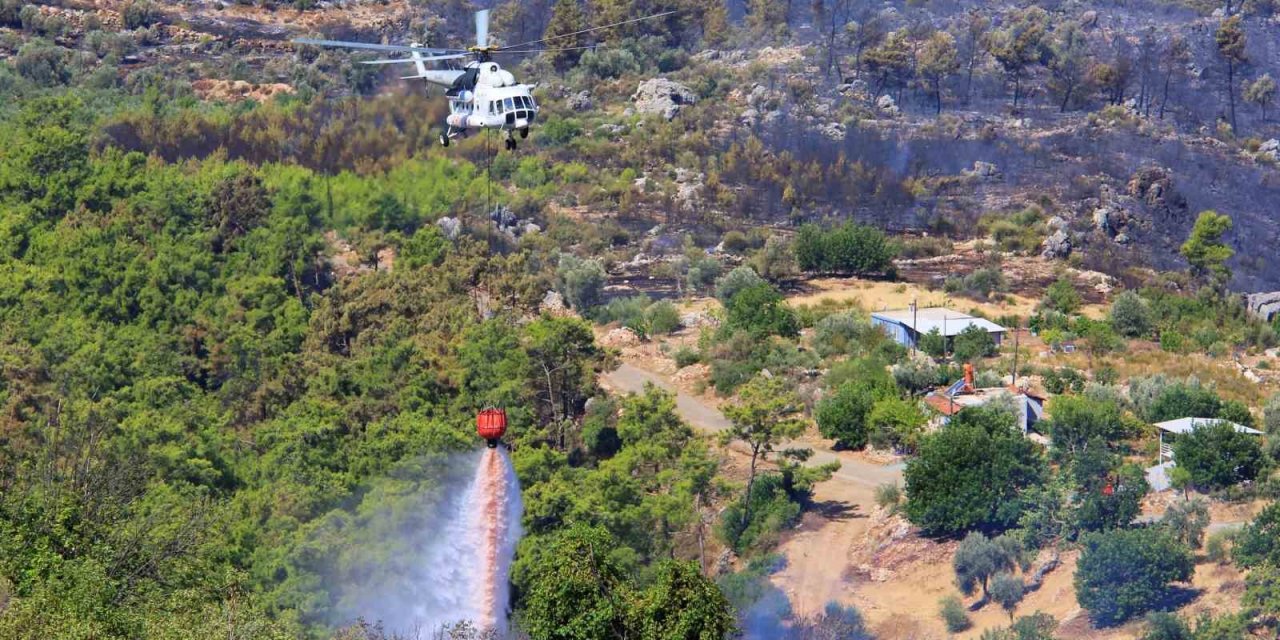 Türkiye’nin İlk Kadın Yangın Yeri İnceleme Uzmanı Dr. Saadet Alkış: "ormanların Daha Çok Yerleşim Bölgelerine Yakın Yerlerde Yangın Çıktığını Tespit Ettim Ve Bunlarda Da Hep İnsanların Aktiviteleri Var"