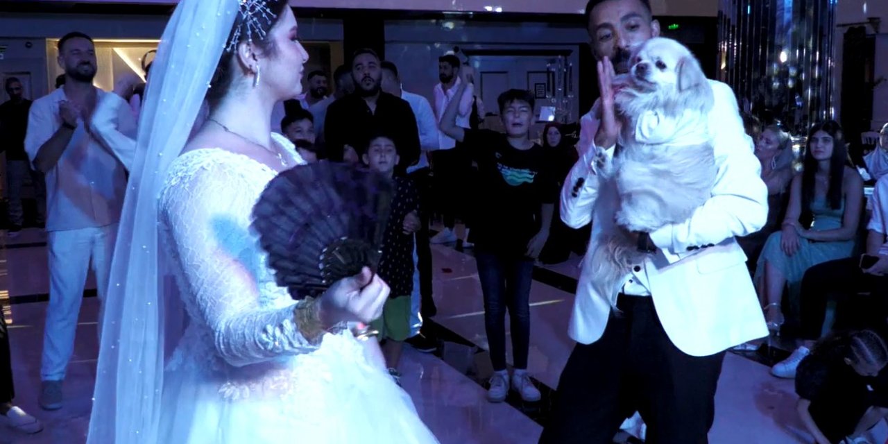 ’bulut’, Sahibini Düğününde De Yalnız Bırakmadı