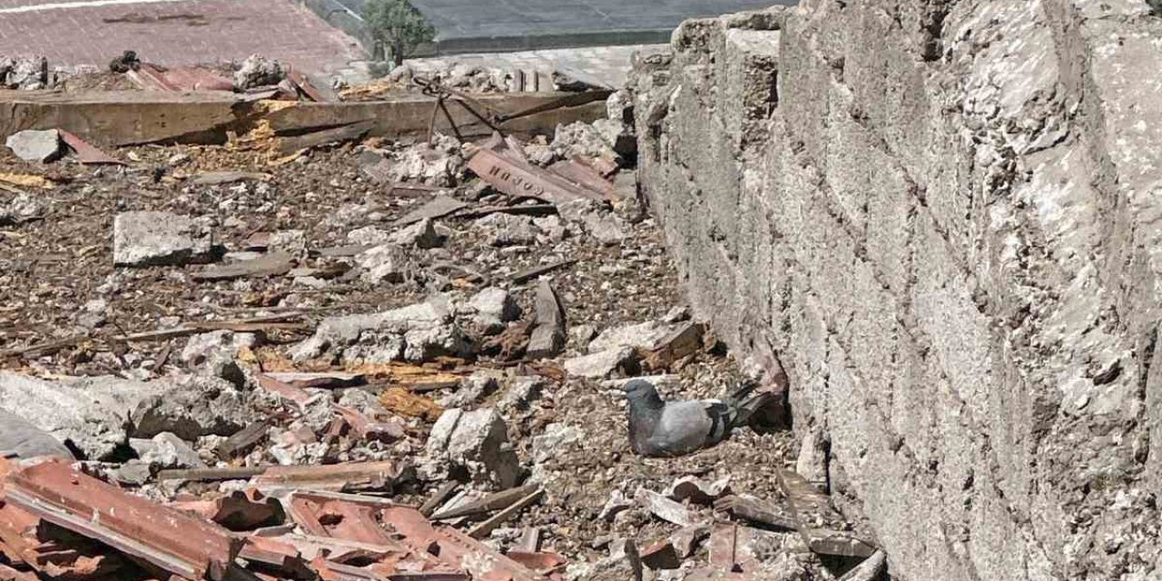 Yıkım Durduruldu, Yumurtalar Taşındı