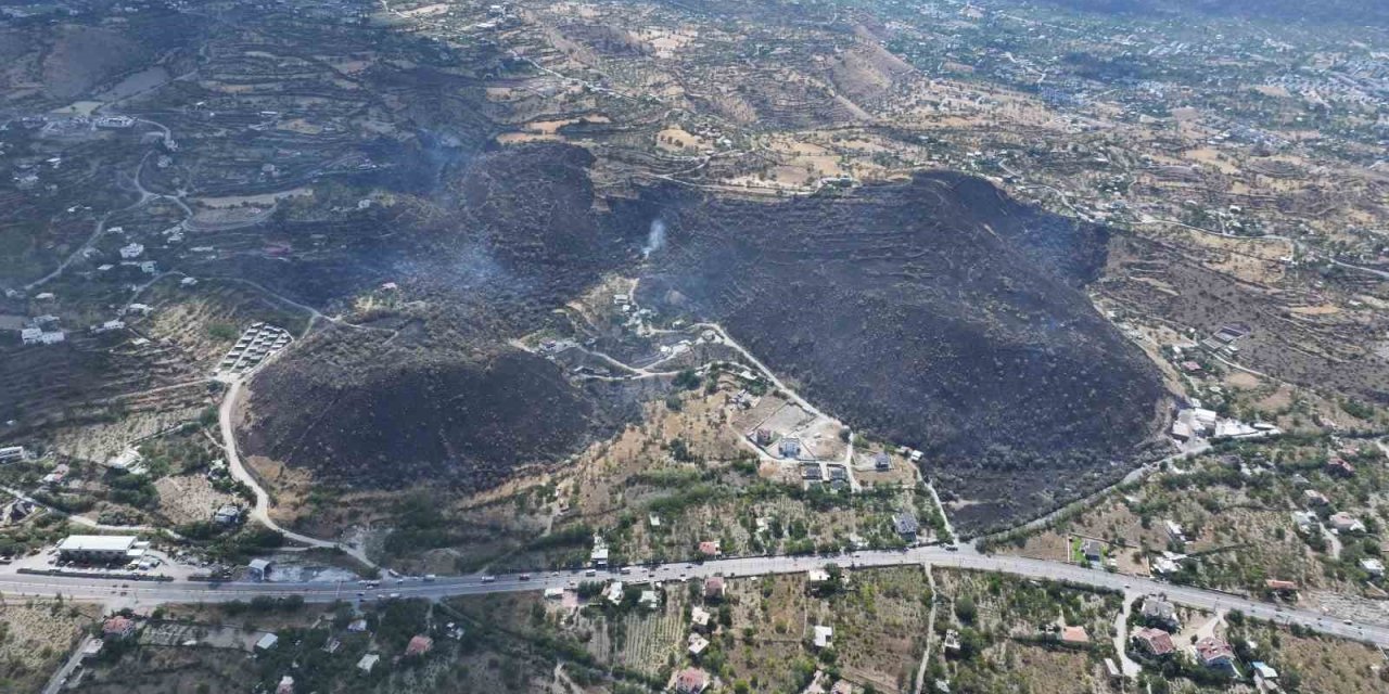 Başkan Özdoğan; Yangın Bölgesini İnceledi