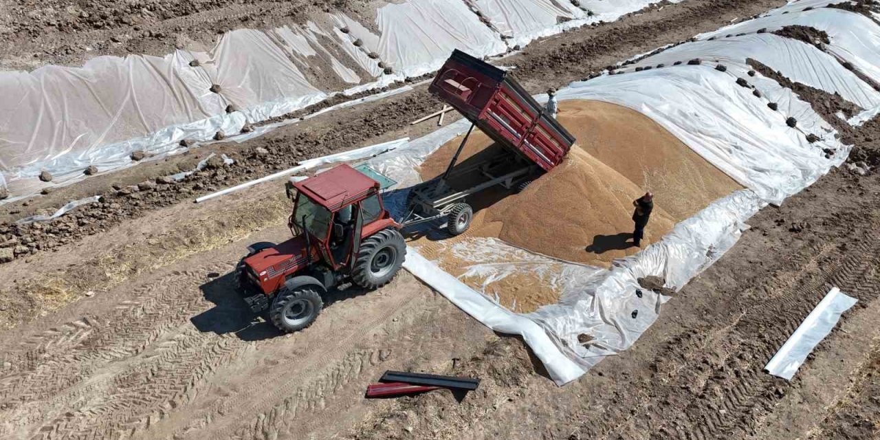 Geçtiğimiz Yıl Rekor Kıran Tmo’da Hububat Alımları Devam Ediyor