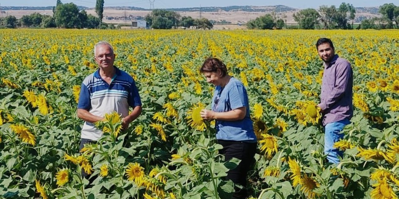Bitki Pasaportu Sistemi İle Bitki Sağlığı Kontrolleri Sürüyor