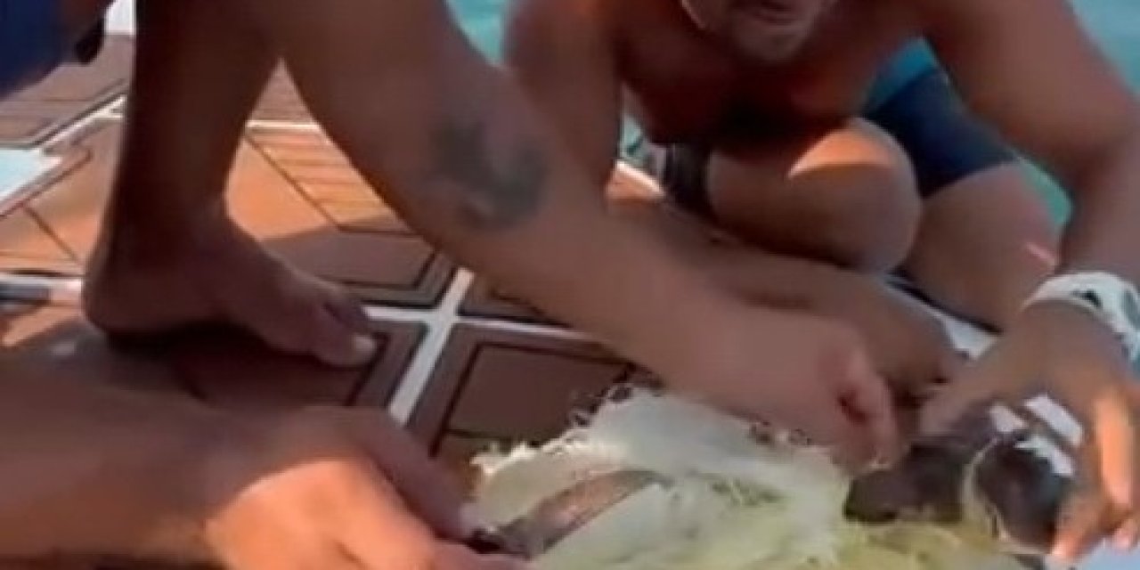 Alanya'da Denizde Çuvala Dolanan Caretta Caretta Yavrusu Kurtarıldı