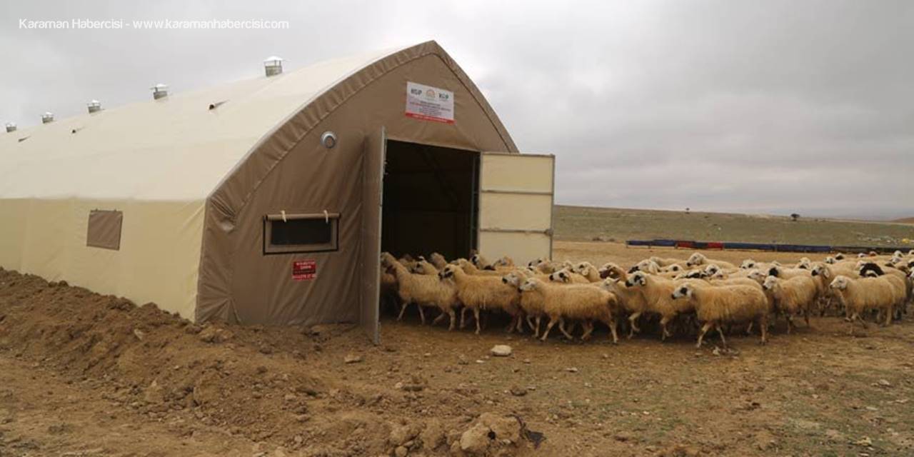 Karaman'da Sürü Büyütme ve Yenileme Destekleri Anlatılacak