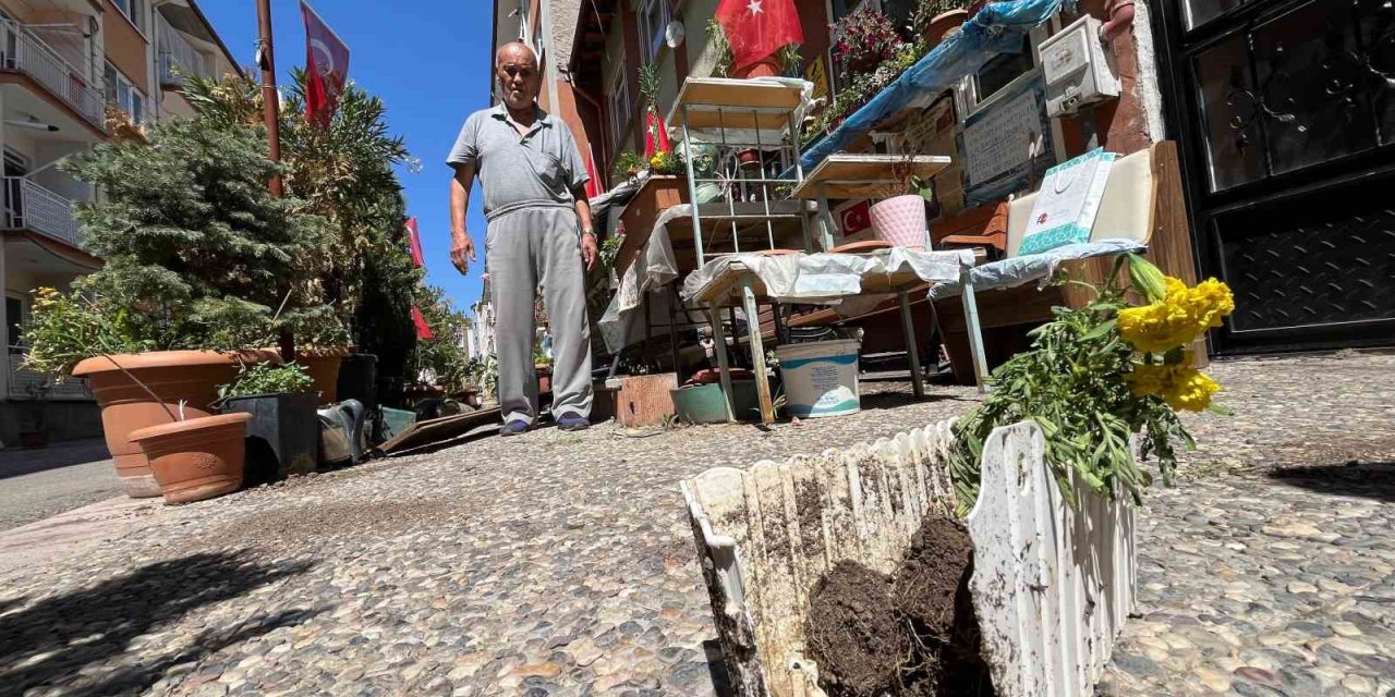 Sevgililer Ve Aşıklar Parkı Talan Edildi