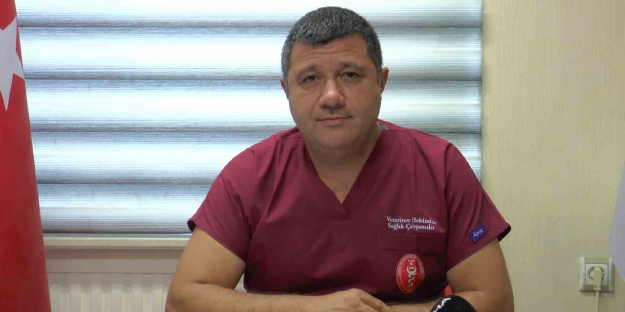 Veteriner Hekimlerden Kanun İçin ’iş Birliği’ Çağrısı