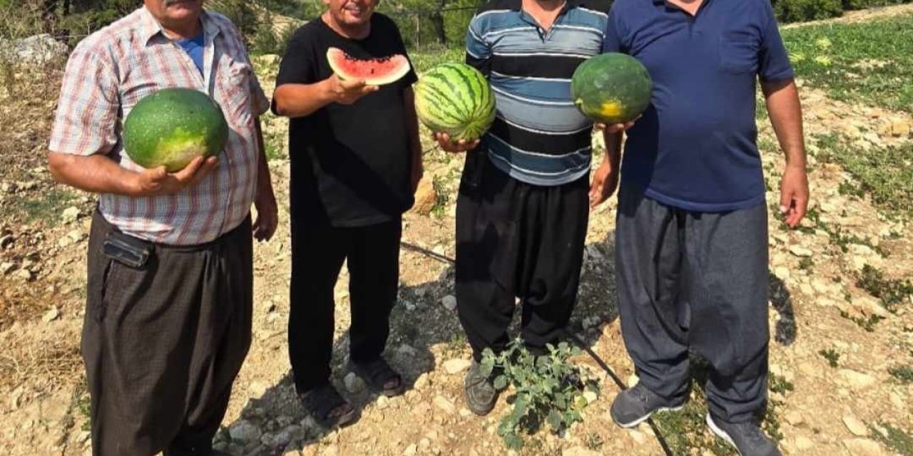 Tarsus’ta Yerli Tohuma Ve Üretime Dönüş İçin Çağrı