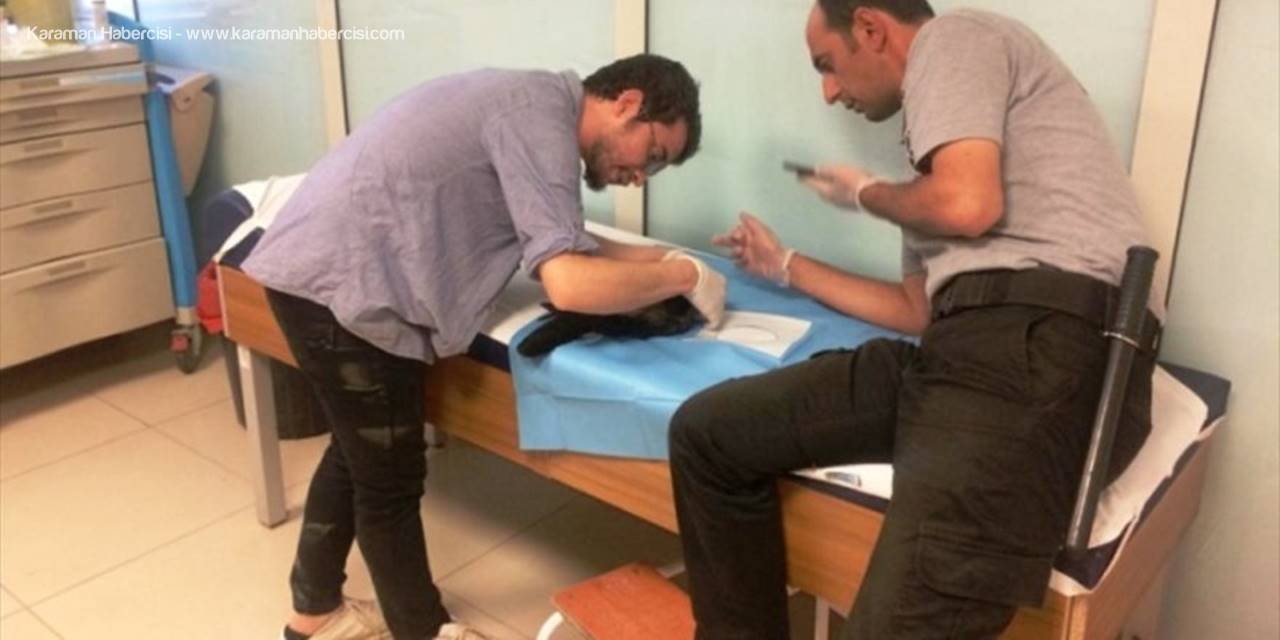 Yaralı Kargaya Hastanede Müdahale