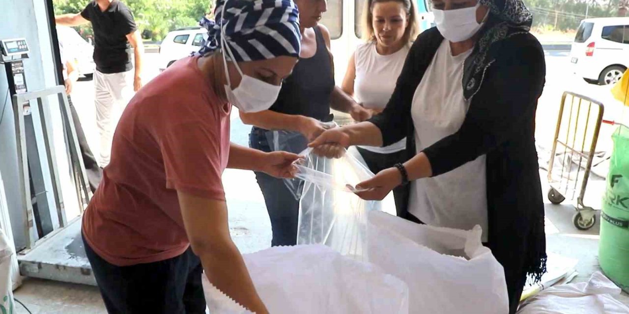Akdeniz Belediyesinin Ürettiği Ekmeklik Buğdaydan Elde Edilen Un Sofralara Ulaştı
