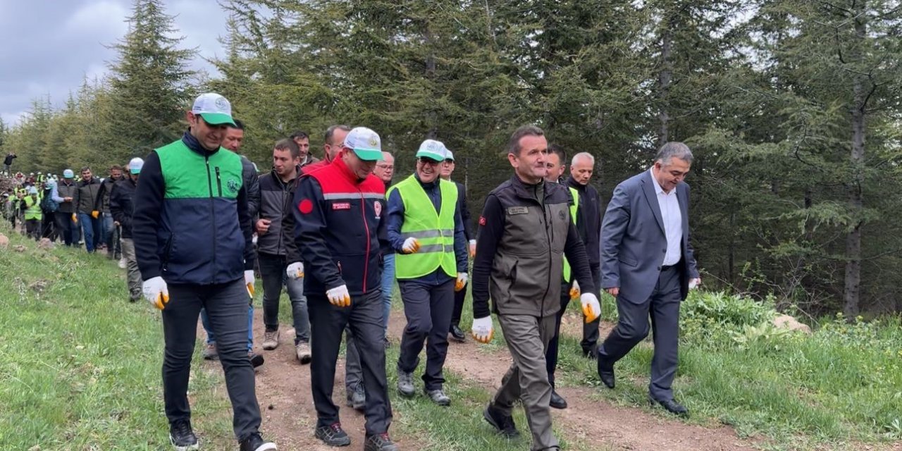 Başkan Özdoğan; "hacılar’da Orman Varlığı Artıyor"