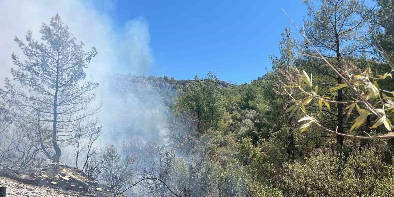 Mersin Silifke’de Orman Yangını