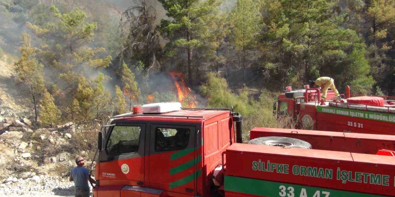 Silifke’de 250 Dönüm Ormanlık Alan Yandı