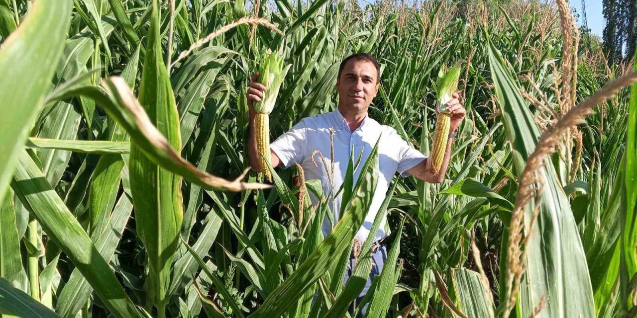 Beylikova Belediyesi Hasat Öncesi Kontrolleri Tamamladı