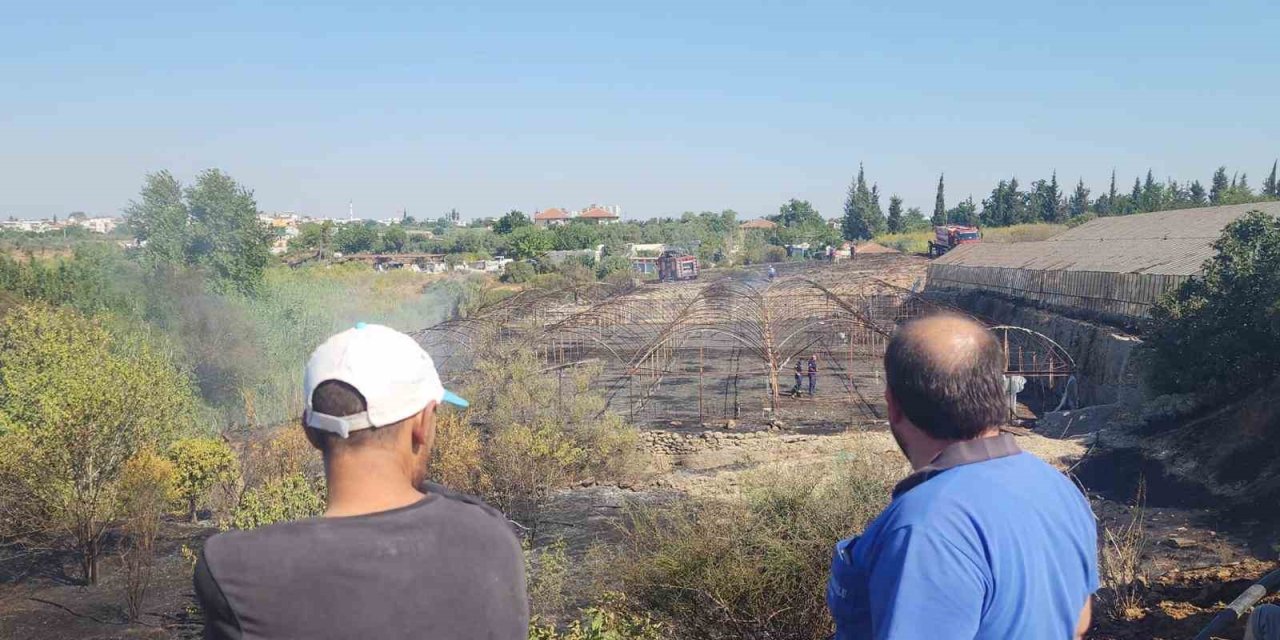 Zeytinlikte Çıkan Yangın Evlere Ulaşmadan Söndürüldü