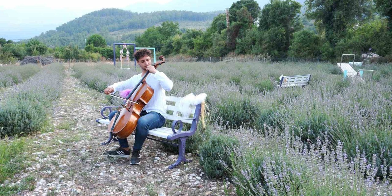 Lavanta Bahçesinde Çello Resitali